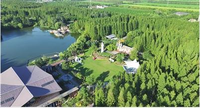 以奋进之姿将生态岛建设向纵深推进