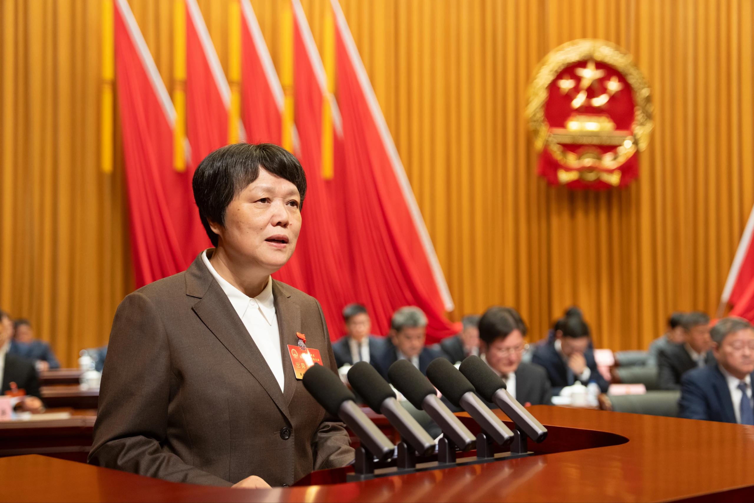 区二届人大八次会议举行第二次全体会议