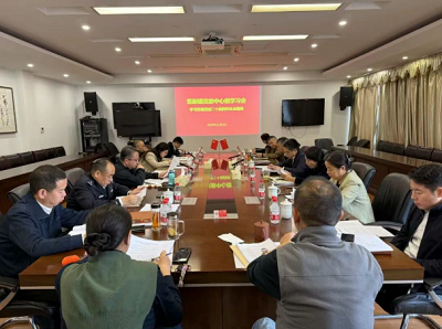 竖新镇召开党委中心组学习会，深入学习贯彻党的二十届四中全会精神