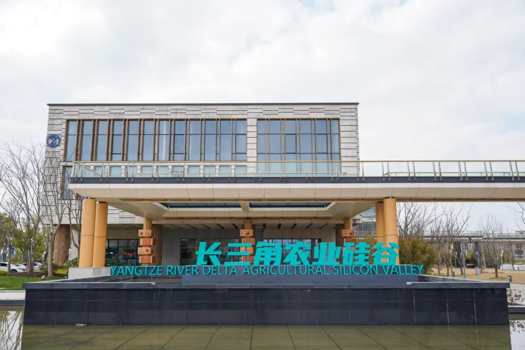 生态岛上的这个“硅谷”，“新老朋友”齐聚一堂