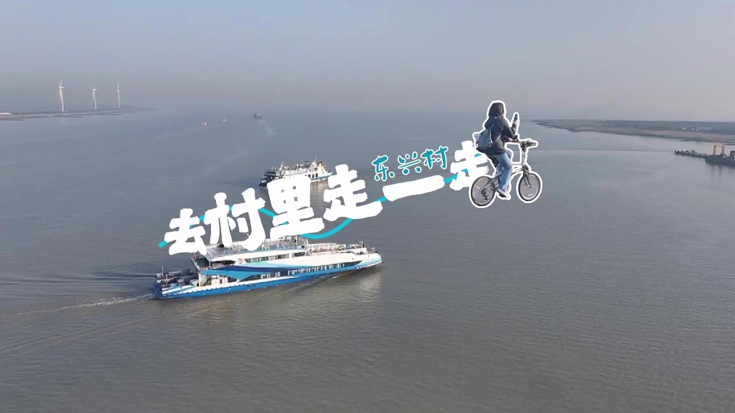 跟着视频，去横沙这个美丽村庄看看
