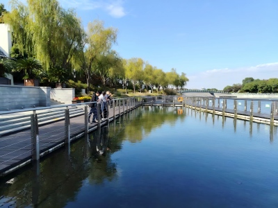 同题共答、助力共治，区民盟开展水生态保护民主监督工作调研