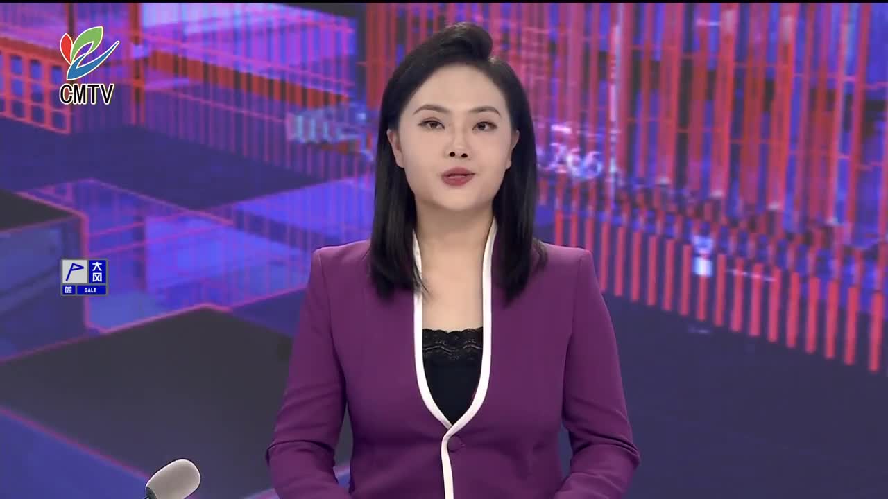 视频｜崇明生物多样性调查收官 国家二级保护植物水蕨惊喜现身