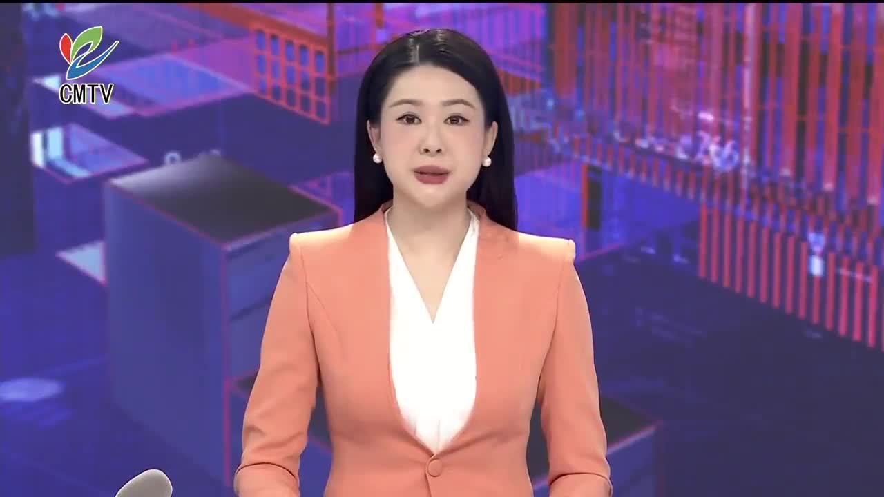视频｜启东沿江湿地迎来候鸟迁徙高峰