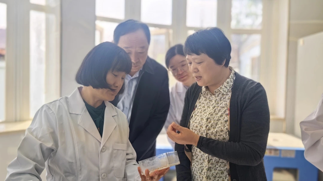 薛红主任带队调研《中华人民共和国种子法》《上海市种子条例》贯彻实施情况