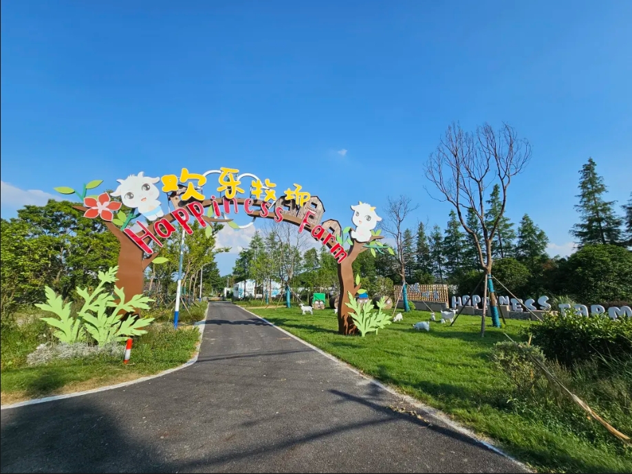 三星镇班子成员集体调研平安村市级乡村振兴示范村建设