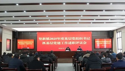 竖新镇召开2025年度基层党组织书记抓基层党建工作述职评议会
