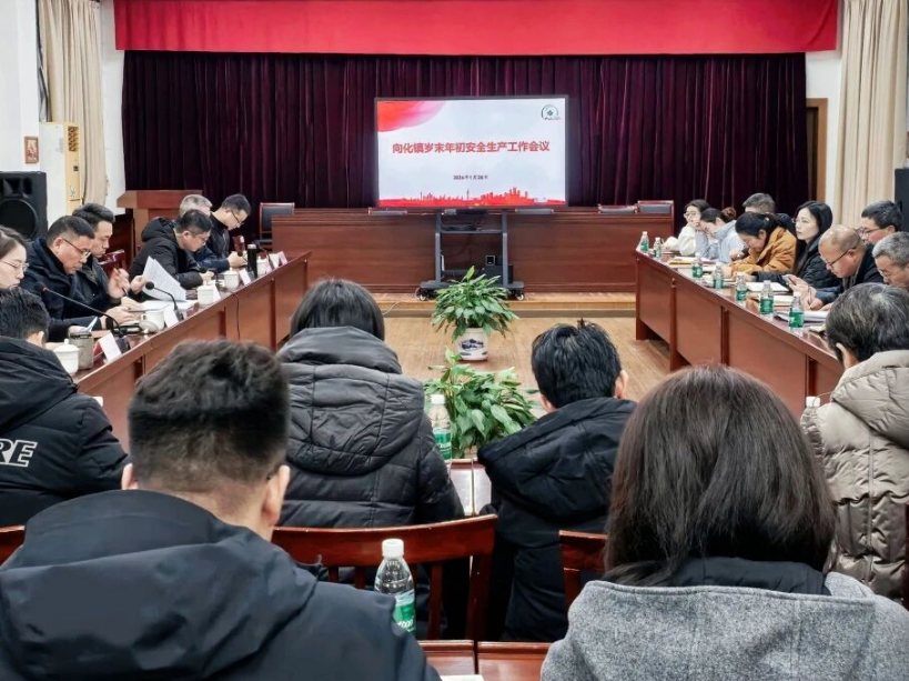 向化镇部署岁末年初安全生产工作