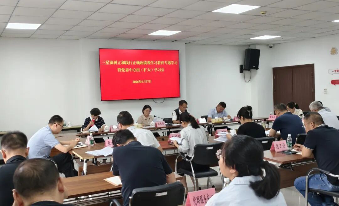三星镇举行树立和践行正确政绩观学习教育专题学习暨党委中心组（扩大）学习会