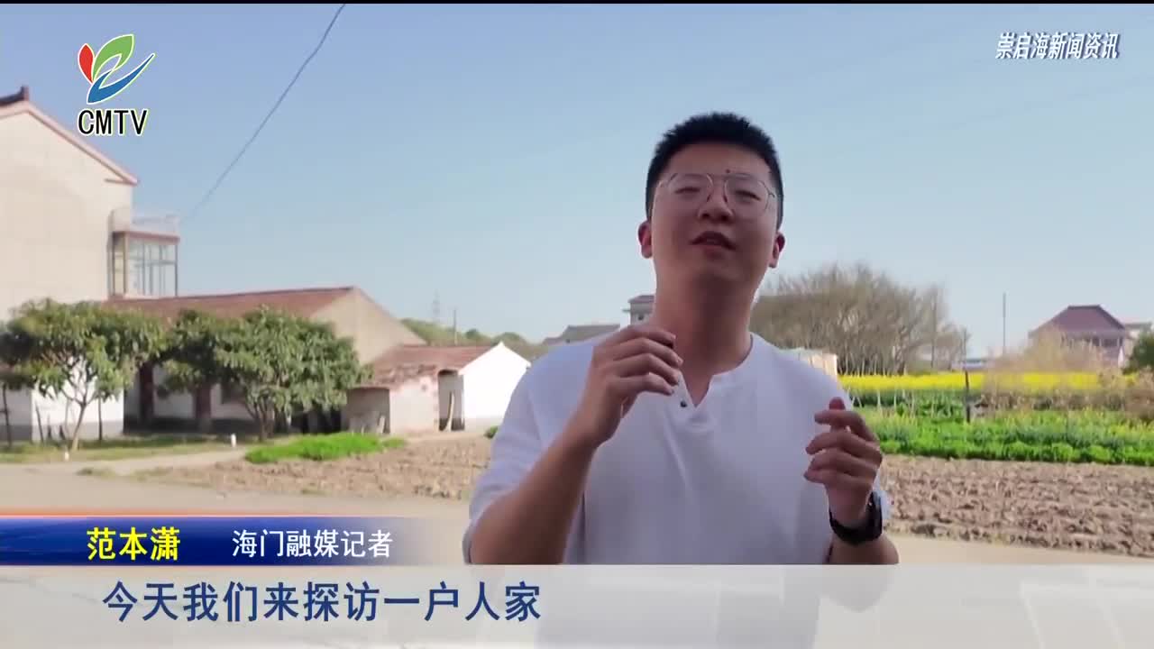 视频｜百万蜂群绘春景 海门养蜂人采蜜正当时