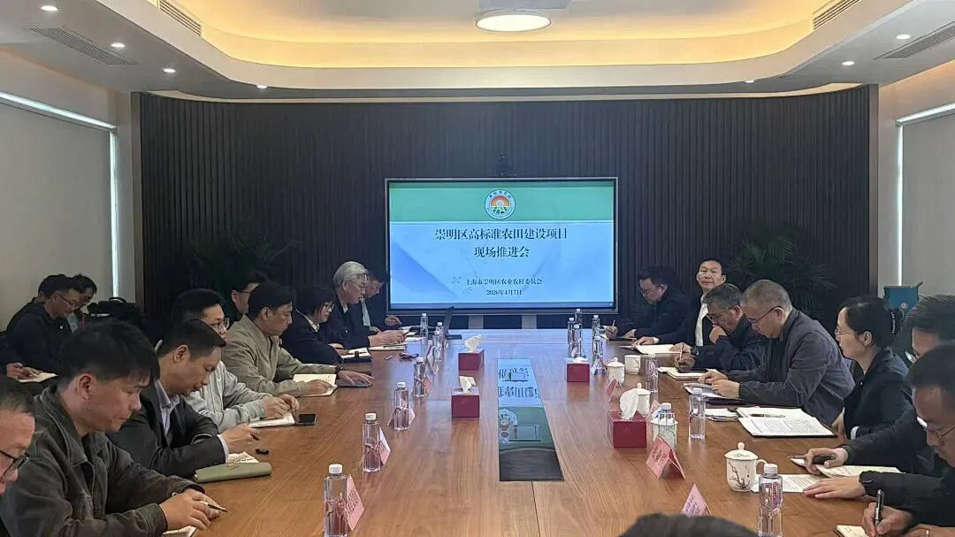 区农业农村委召开2026年高标准农田建设现场推进会
