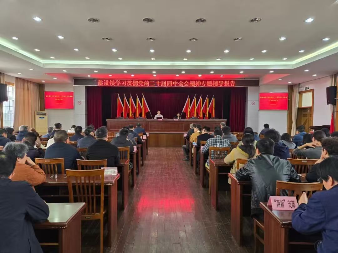 建设镇召开学习贯彻党的二十届四中全会精神专题辅导报告会