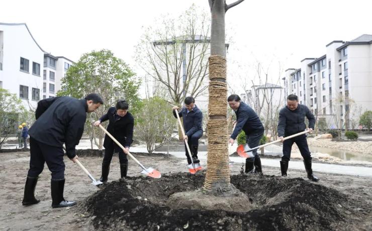 推进植树造林工作，厚植生态环境优势！区领导参加2023年崇明区全民义务植树活动