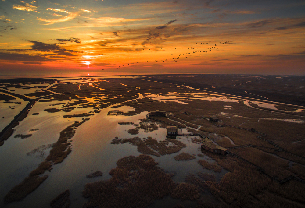 东滩日出-黎军摄 黎军