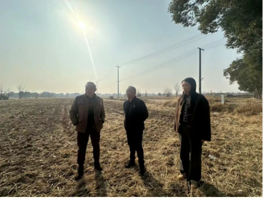 竖新镇开展农业安全生产专项检查