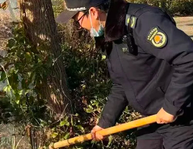 陈家镇多措并举，强化户外火灾防控