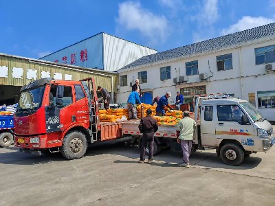 良种良法到田头 水稻丰产有保障——港沿镇发放2026年水稻良种 护航春耕生产