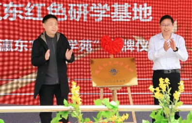 陈家镇油菜花文化旅游节正式拉开帷幕！