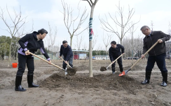 区领导参加全民义务植树活动