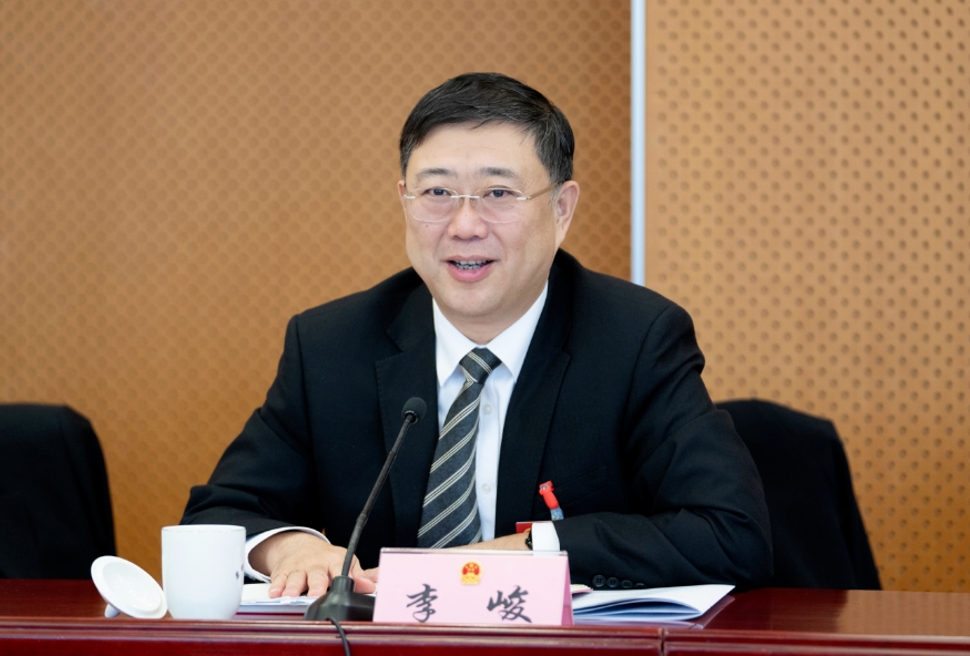 李峻参加陈家镇代表团审议