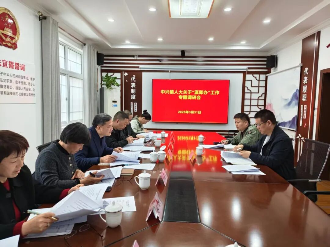 中兴镇人大开展“瀛即办”工作专题调研