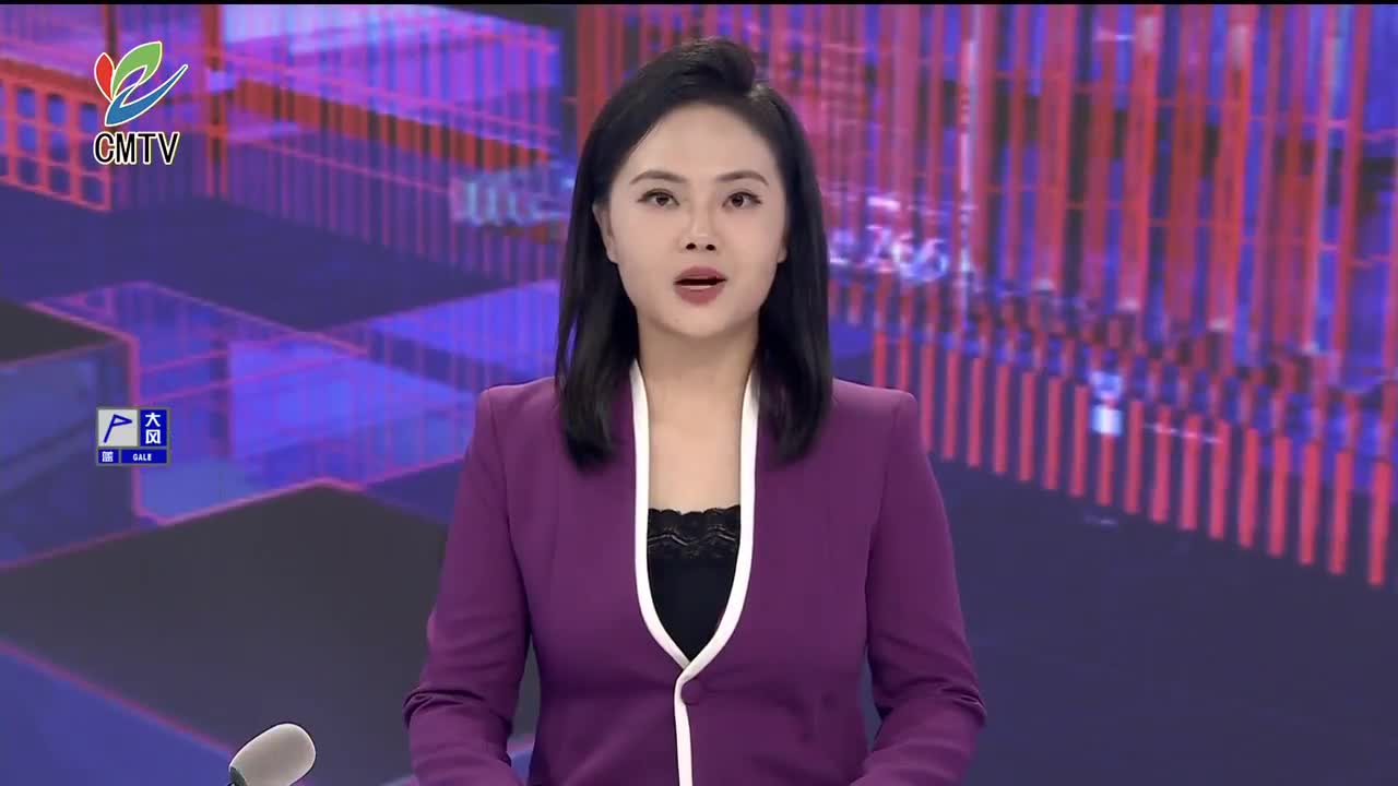 视频｜崇明区“十五五”规划市级专家咨询座谈会召开