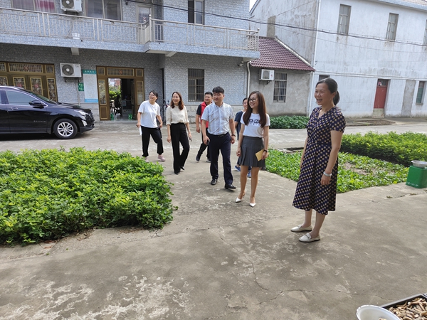 上海市崇明区人民政府