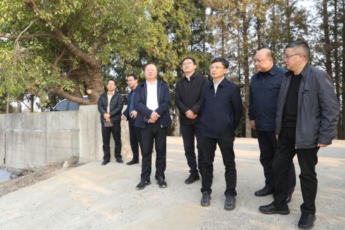 持续筑牢生态底盘，不断厚植生态优势！缪京督查调研生态环境突出问题整治工作1.jpg