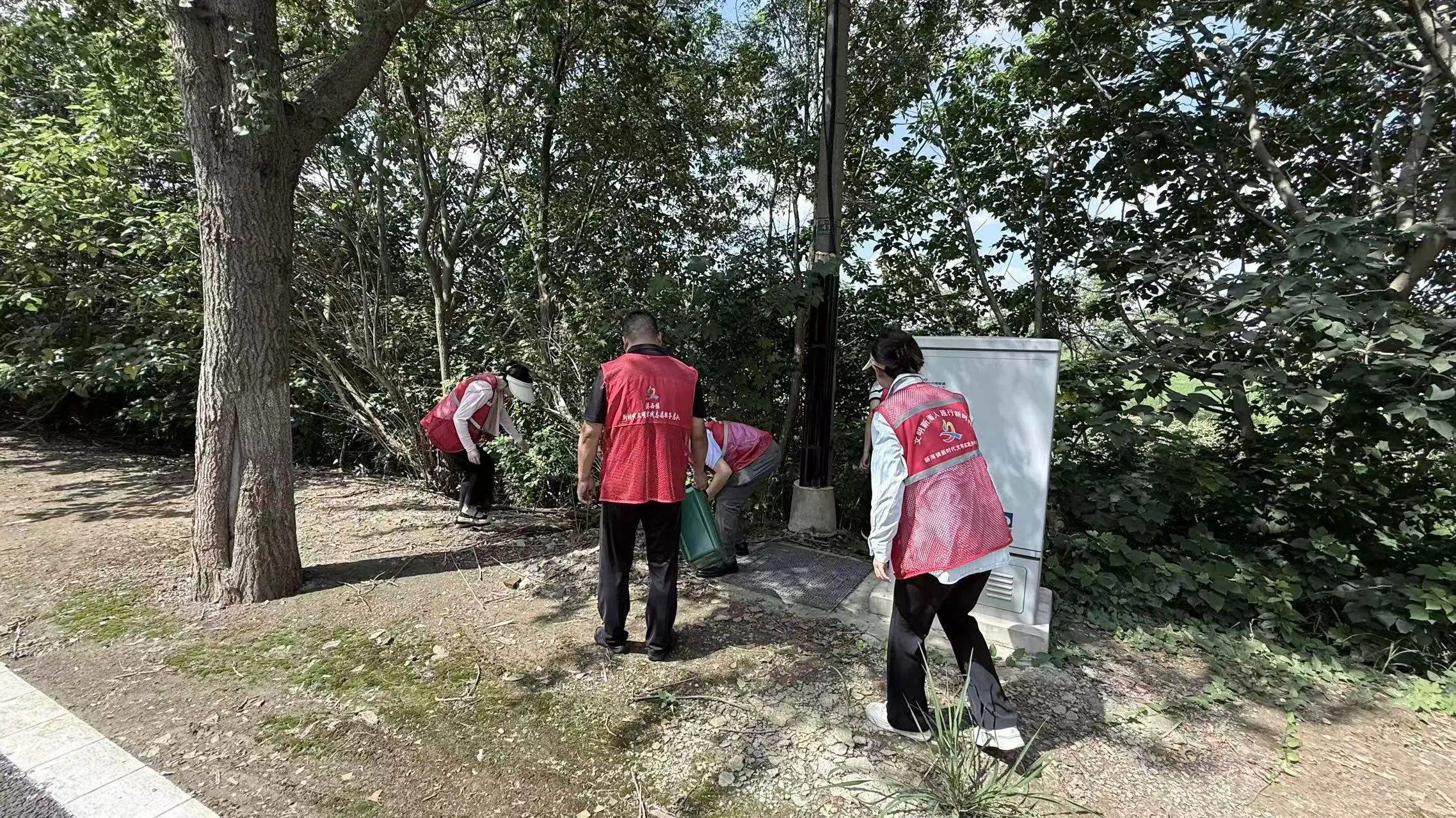 图片6.png 图片6.png