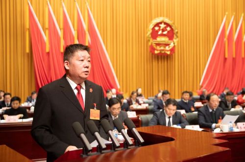 区二届人大五次会议举行第二次全体会议，听取区人大常委会和“两院”工作报告4.jpg