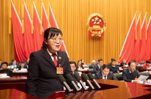 区二届人大五次会议举行第二次全体会议，听取区人大常委会和“两院”工作报告5.jpg