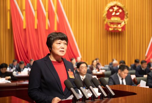 区二届人大五次会议举行第二次全体会议，听取区人大常委会和“两院”工作报告3.jpg