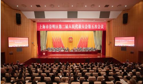 区二届人大五次会议举行第二次全体会议，听取区人大常委会和“两院”工作报告1.jpg
