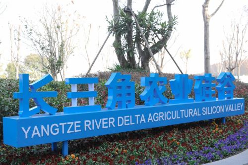 汇聚农业科创新动能，谱写产业发展新篇章！“加快发展农业新质生产力，高标准推进崇明世界级生态岛建设”大会举行4.jpg