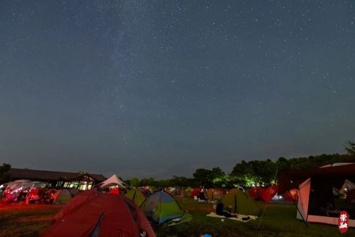 抬头就能见到星空，崇明这里美到令人窒息5.jpg