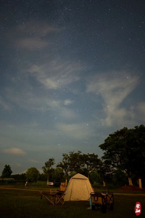 抬头就能见到星空，崇明这里美到令人窒息7.jpg