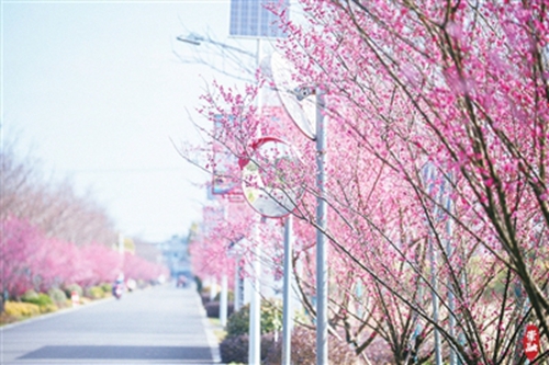 ��÷֦ͷ�� �������续1.jpg