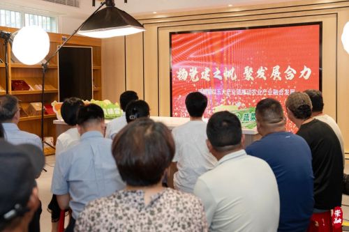 竖新镇蔬菜链党群服务站揭牌4.jpg