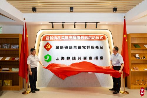 竖新镇蔬菜链党群服务站揭牌1.jpg
