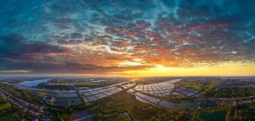 20230906141701024760.jpg 不断擦亮农业“金字招牌”,崇明这样做!1.jpg