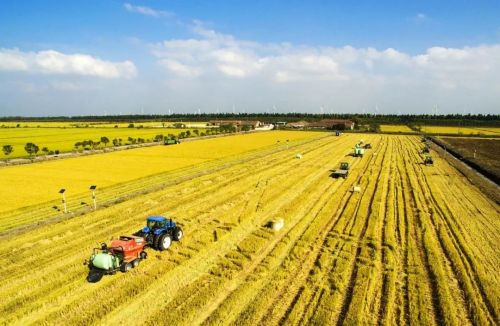 20230906141931055168.jpg 不断擦亮农业“金字招牌”,崇明这样做!9.jpg