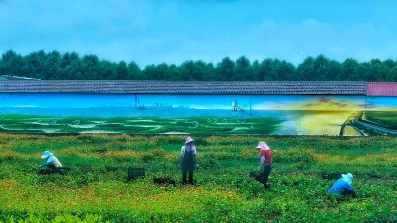 来欣赏美图！2023年度崇明摄影大赛第二季获奖名单公布8.jpg