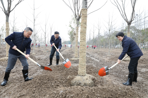 春风相邀，播种希望！区领导参加全民义务植树活动1.png