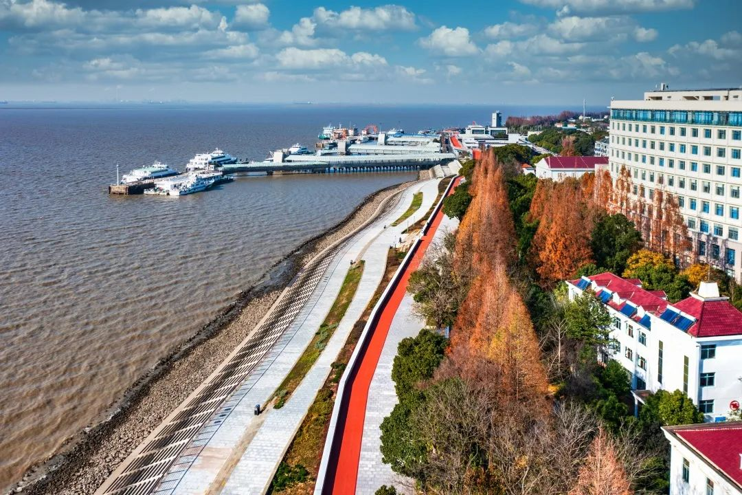 图片20.png 图片20.png