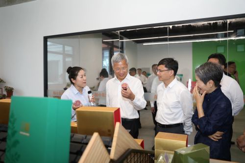 共话情谊，共谋发展！北京市平谷区党政代表团来崇考察2.jpg