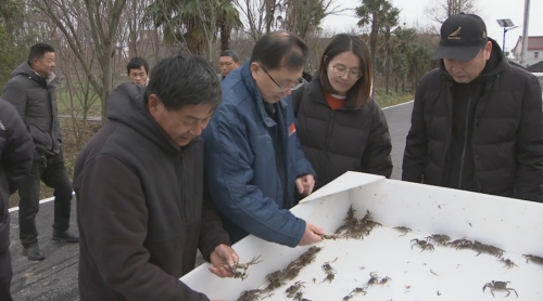 “崇明1号”好在哪儿？2.png