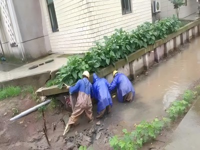 2).jpg