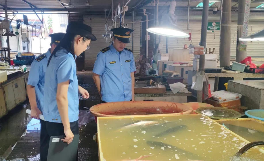 河豚鱼5428.jpg 河豚鱼5428.jpg