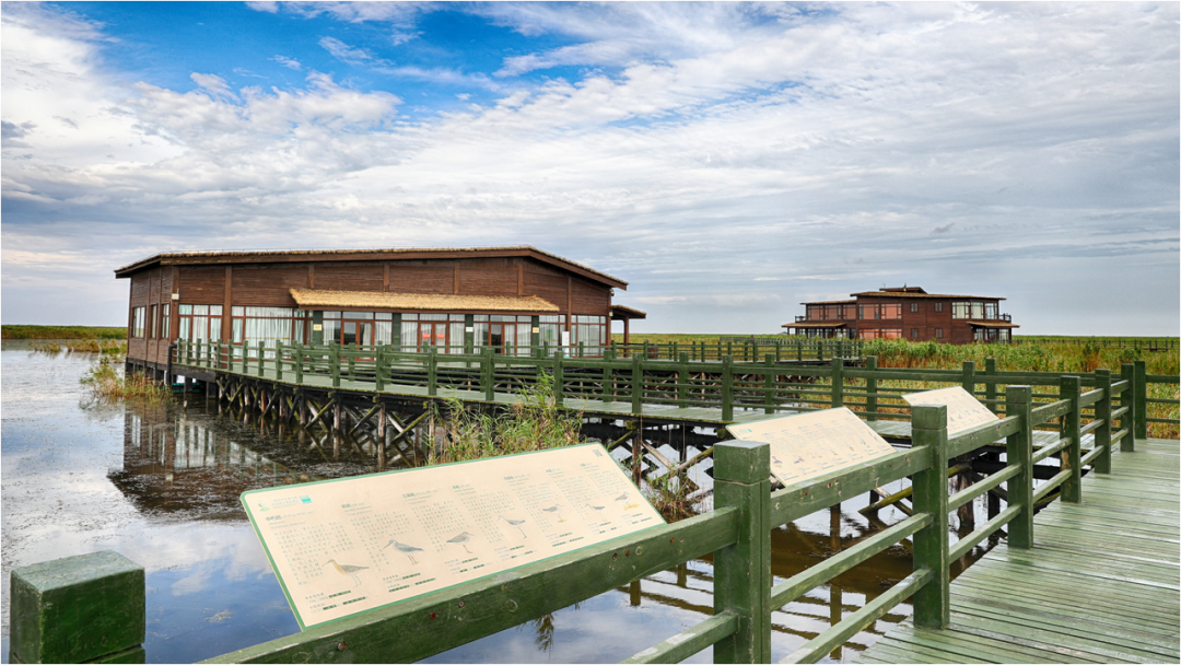 20230630104356078847.png 03.png