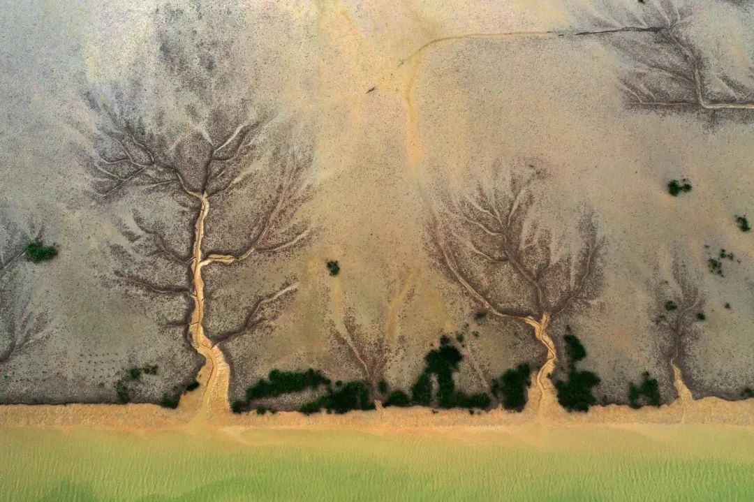 20230630104244076141.jpg 01.jpg